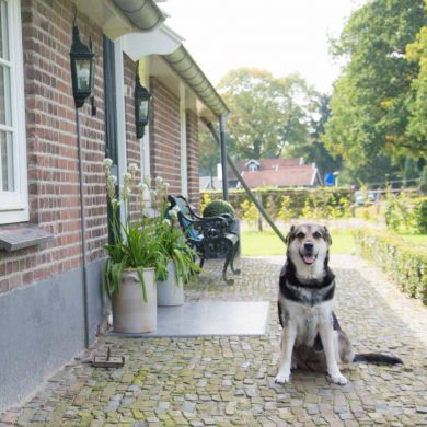vierkant_onderin.jpg